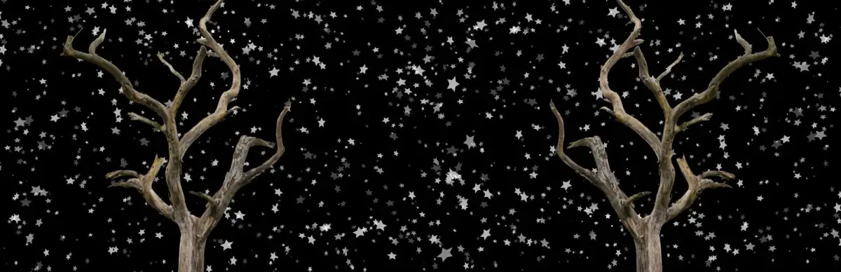 If You Go Down in the Woods Today