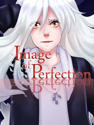 Portada de Image of Perfection