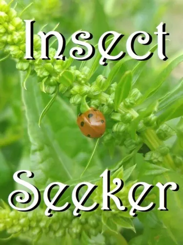 Portada de Insect Seeker
