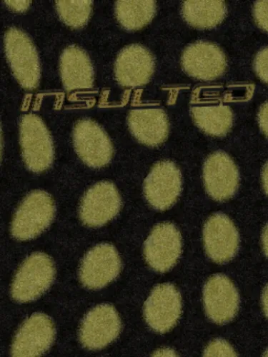 Portada de Insulted