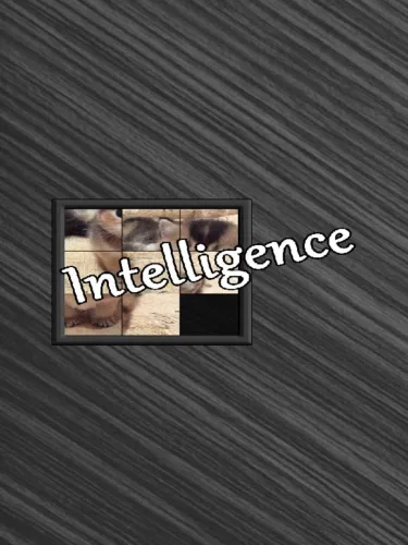 Portada de Intelligence