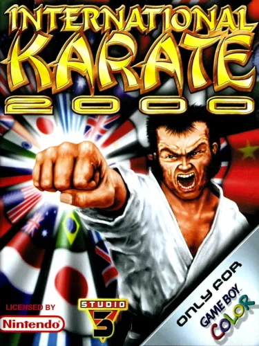 Portada oficial del videojuego International Karate 2000