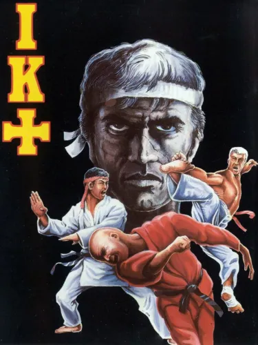 Portada de International Karate +