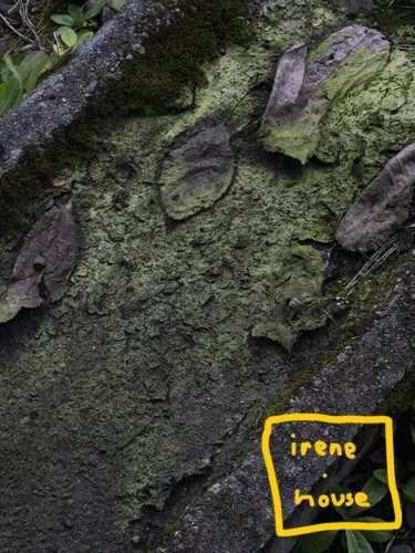 Portada de Irene.House