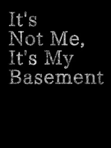 Portada oficial del videojuego It’s Not Me, It’s My Basement