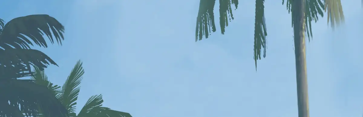 Jagged Alliance: Flashback