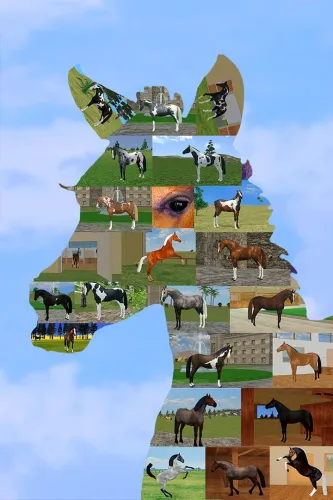 Portada de Jumpy Horse Breeding