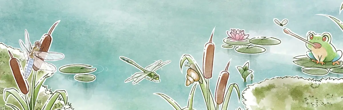 Kamaeru: A Frog Refuge