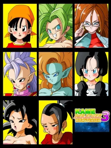 Portada de Kame Paradise 3 Multiversex