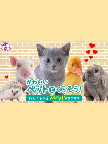 Portada de Kawaii Pet to Kurasou! Wan Nyan & Idol Animal