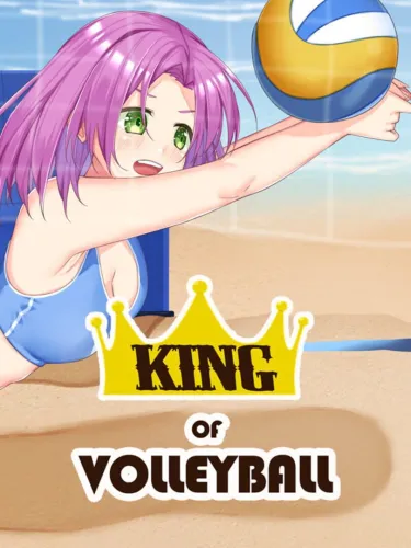 Portada de King of Volleyball