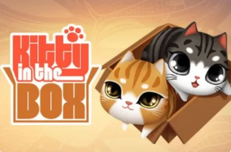 Portada de Kitty in the Box