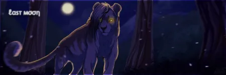 Portada de Last Moon