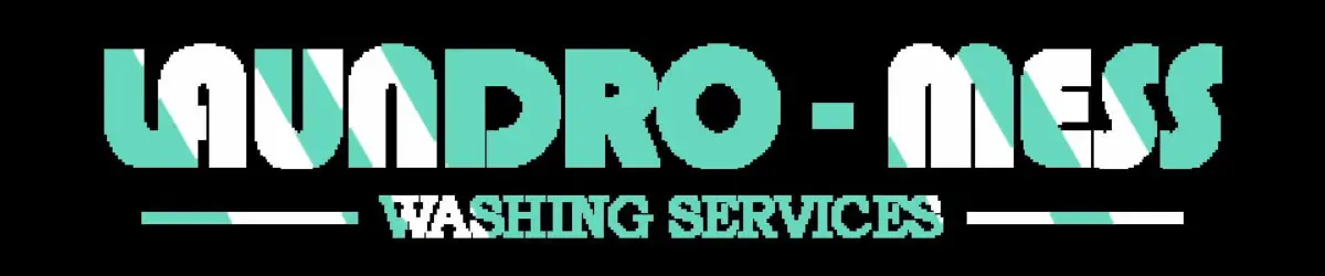 Portada de Laundro-Mess