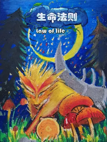 Portada de Law of Life