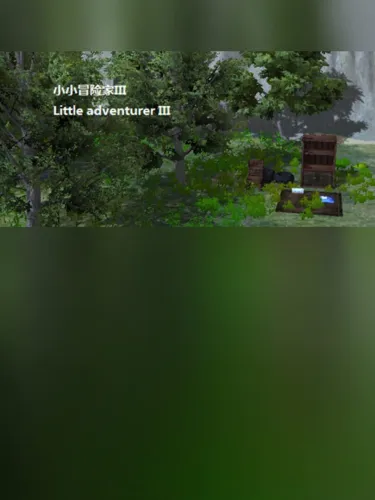Portada de Little Adventurer III