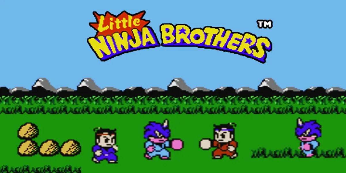 Little Ninja Brothers