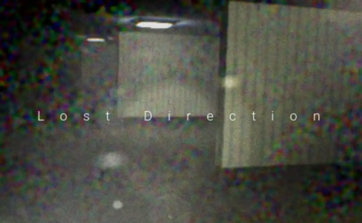 Portada de Lost Direction