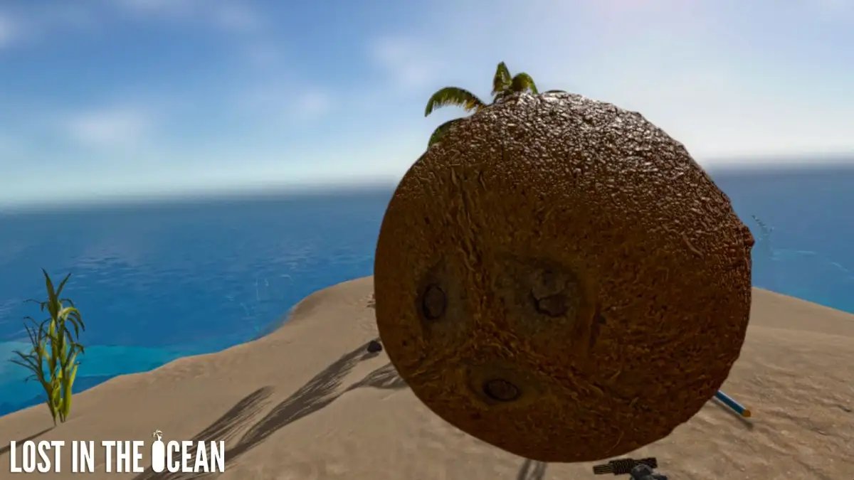 Lost in the Ocean VR