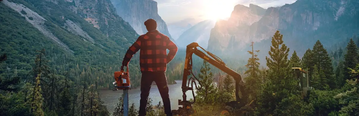 Lumberjack’s Dynasty