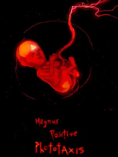 Portada de Magnus Positive Phototaxis