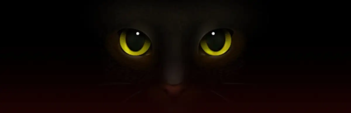 Marcella Moon: Curse of the Black Cat