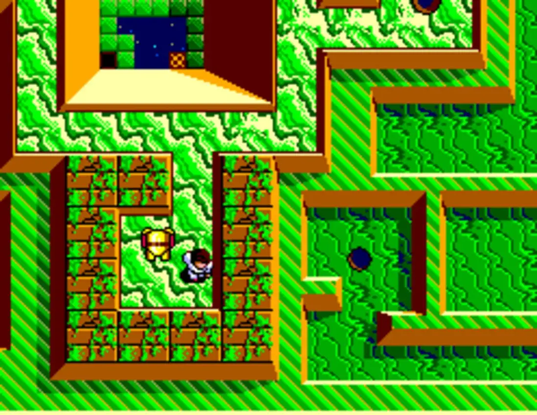 Maze Hunter 3-D
