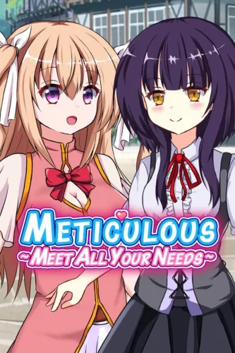 Portada de Meticulous: Meet All Your Needs