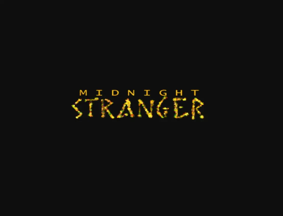 Midnight Stranger