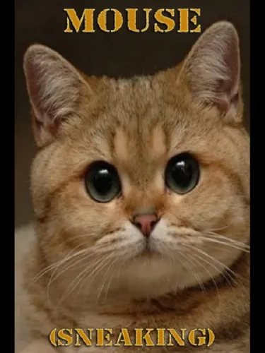 Portada de Mouse (Sneaking)