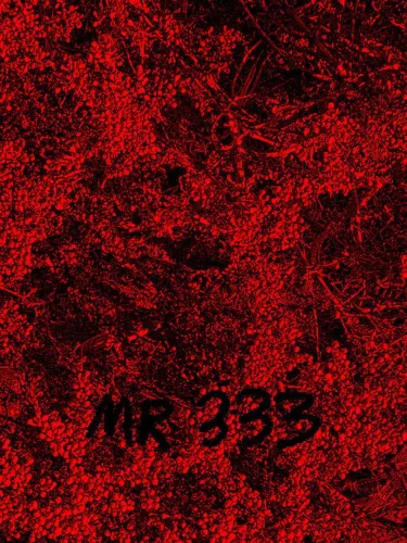 Portada de MR 333
