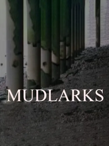 Portada de Mudlarks