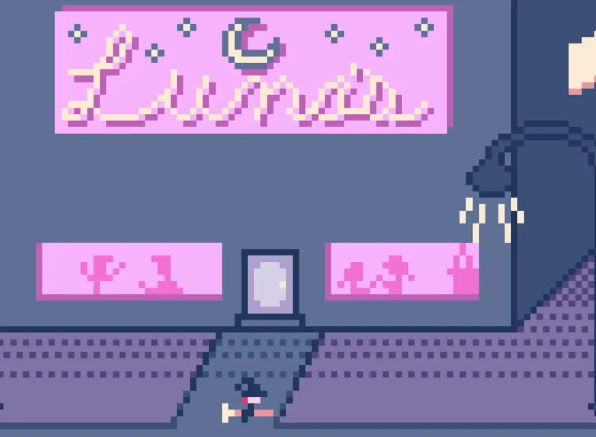 My Dream for the Future