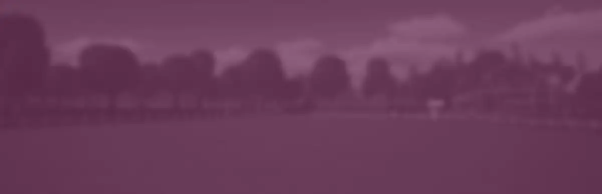 My First Horse: Adventures on Seahorse Island