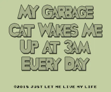 Portada de My Garbage Cat Wakes Me Up At 3AM Every Day