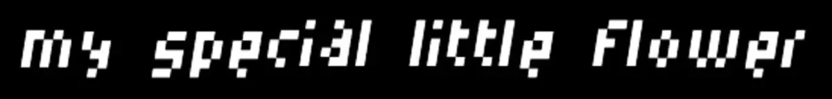 Portada de My Special Little Flower