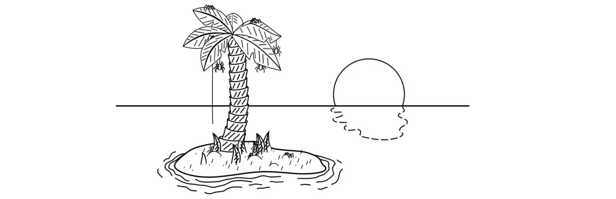 Mysterious Island: A Hidden Object Adventure