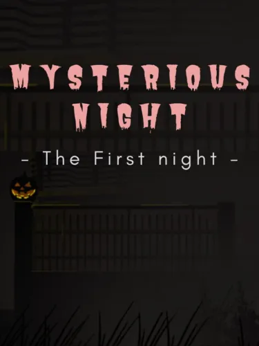 Portada de Mysterious Night: The First Night