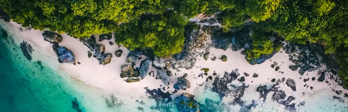 Mystery of Camp Enigma 2