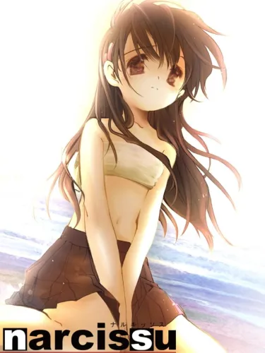 Portada oficial del videojuego Narcissu