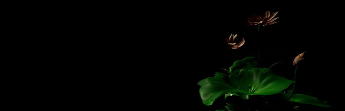 Narcotics Police: Crime And Punish