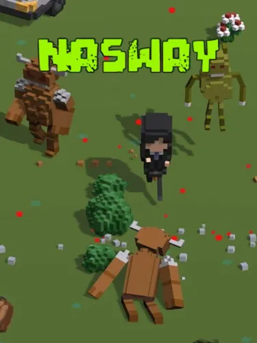 Portada de Nasway