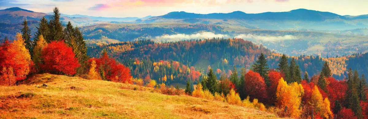 Nature & Wildlife: Jigsaw Puzzle