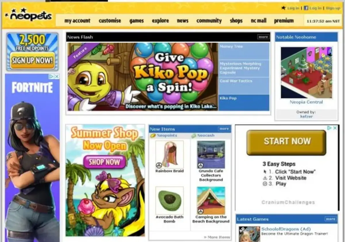 Neopets Browser
