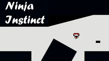 Portada de Ninja Instinct