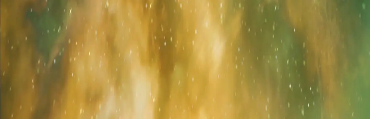 Ninjas in the Dungeon