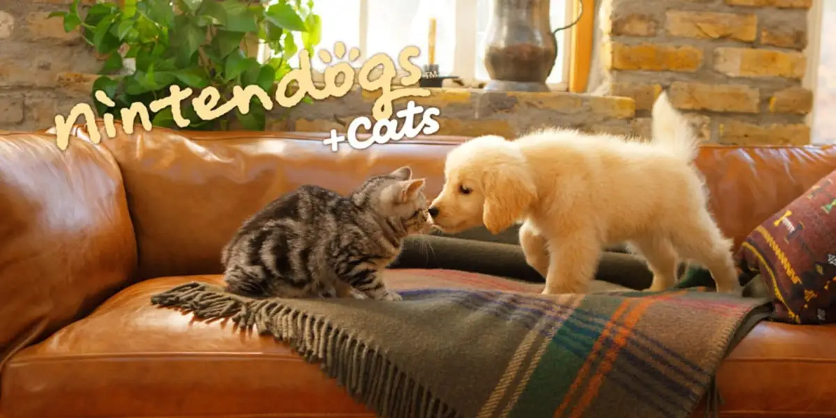 Nintendogs + Cats: Golden Retriever & New Friends
