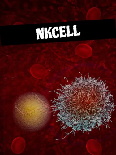 Portada de NKCell