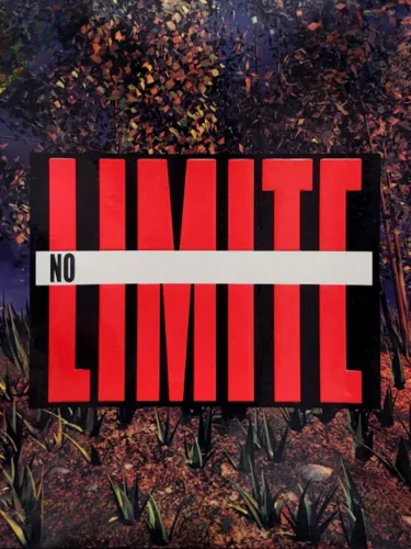 Portada oficial del videojuego No Limite