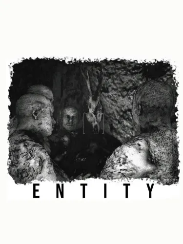 Portada de Northbury Grove: Entity
